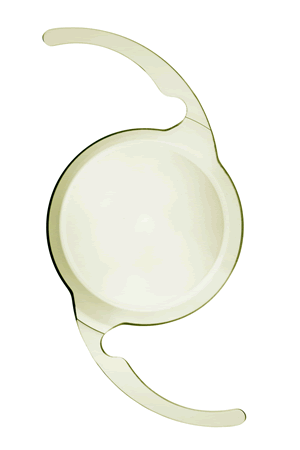 写真:ピュアシー